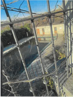 COMUNE DI CARPANETO (AL) - Vendita esecuzione immobiliare n. 156/21 RGE